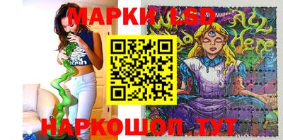 шишки Изобильный