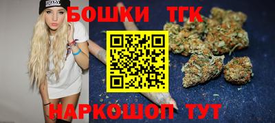 шишки Изобильный