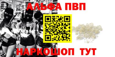 шишки Изобильный