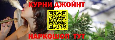 шишки Изобильный