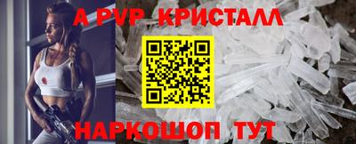 шишки Изобильный