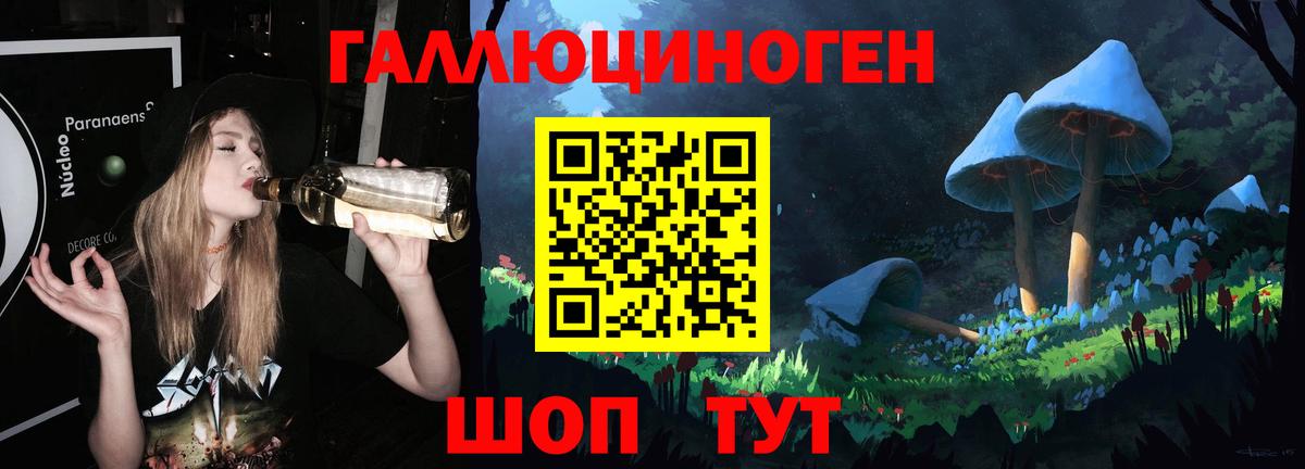Галлюциногенные грибы прущие грибы Балтийск