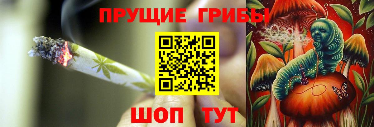 Галлюциногенные грибы прущие грибы  Вход с VPN  Балтийск 